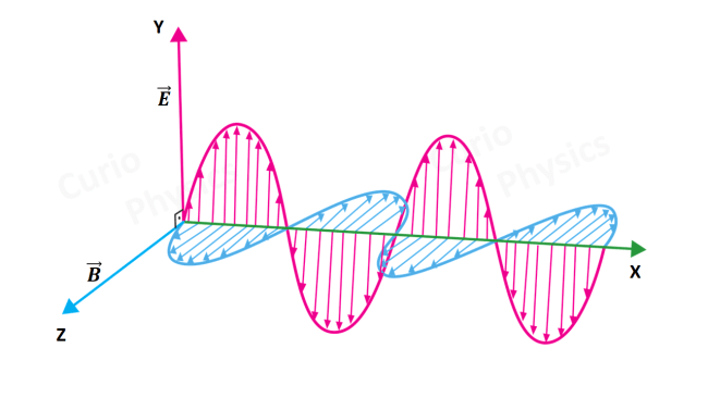Studyconcepts